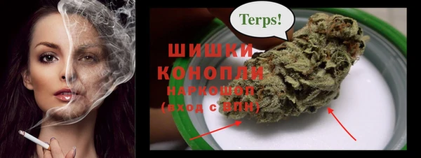 бошки Алексин