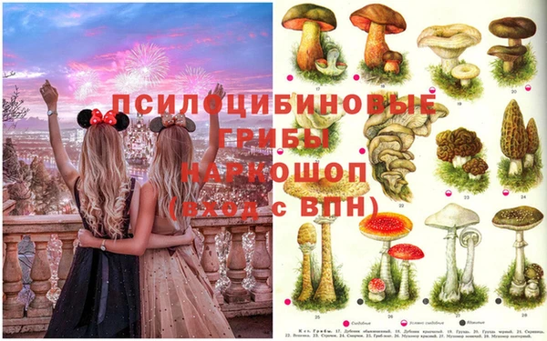 бошки Алексин