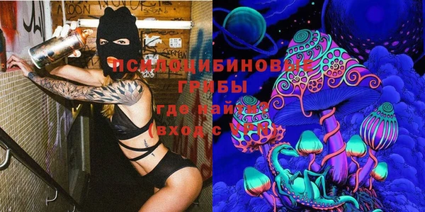бошки Алексин